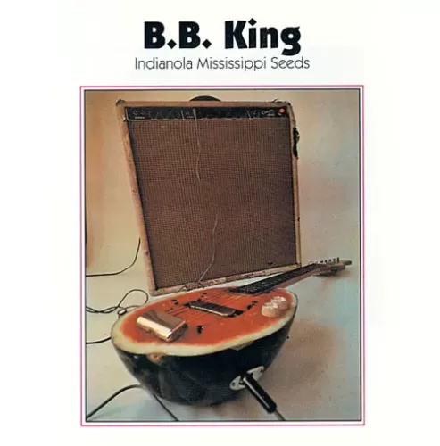 BB King - Indianola Mississippi Seeds