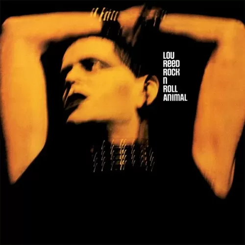 Lou Reed -  Rock n Roll Animal