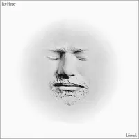 Roy Harper - Lifemask